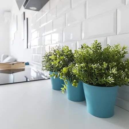 Attico Del Duomo Modena