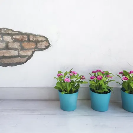 Attico Del Duomo Modena